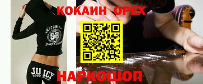 тгк Новозыбков