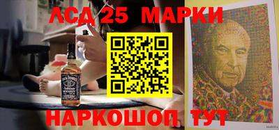 прущие грибы Новодвинск
