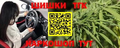 тгк Новозыбков