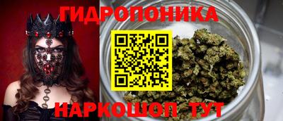 тгк Новозыбков
