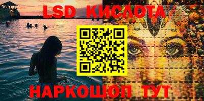 тгк Новозыбков